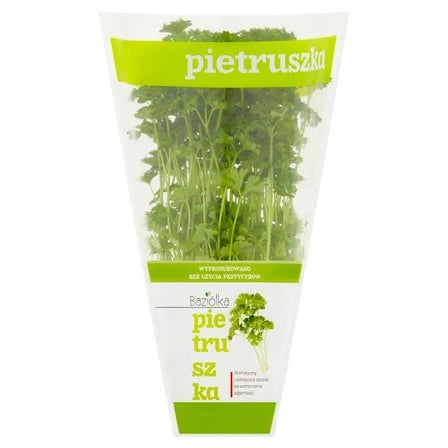 BAZIÓŁKA Pietruszka w doniczce 1 szt.